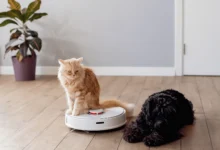 How to maintain a robotic vacuum for pet hair?